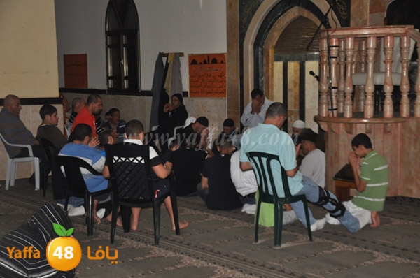 zeker jabaliay (16).JPG